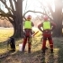 How Tree Health Assessments Can Save Your Trees and Protect Your Property small image